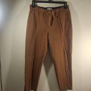 Everlane Women's Stetch Brown Casual Drawstring Relaxed Dream Pants Size L